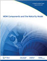 MDM Components and the Maturity Model